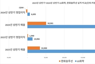 LG화학 '선방', 한화솔루션 '울상' 상반기 성적표