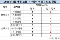 주총 한달 앞으로…보험사 사외이사 3명 중 2명 임기 만료