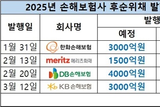 KB손보도 2배로…손보업계, 후순위채 발행 흥행 릴레이