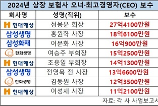 오너부터 CEO까지…작년 상장 보험사 보수 랭킹 1위는?